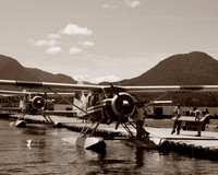 Bush planes for freight